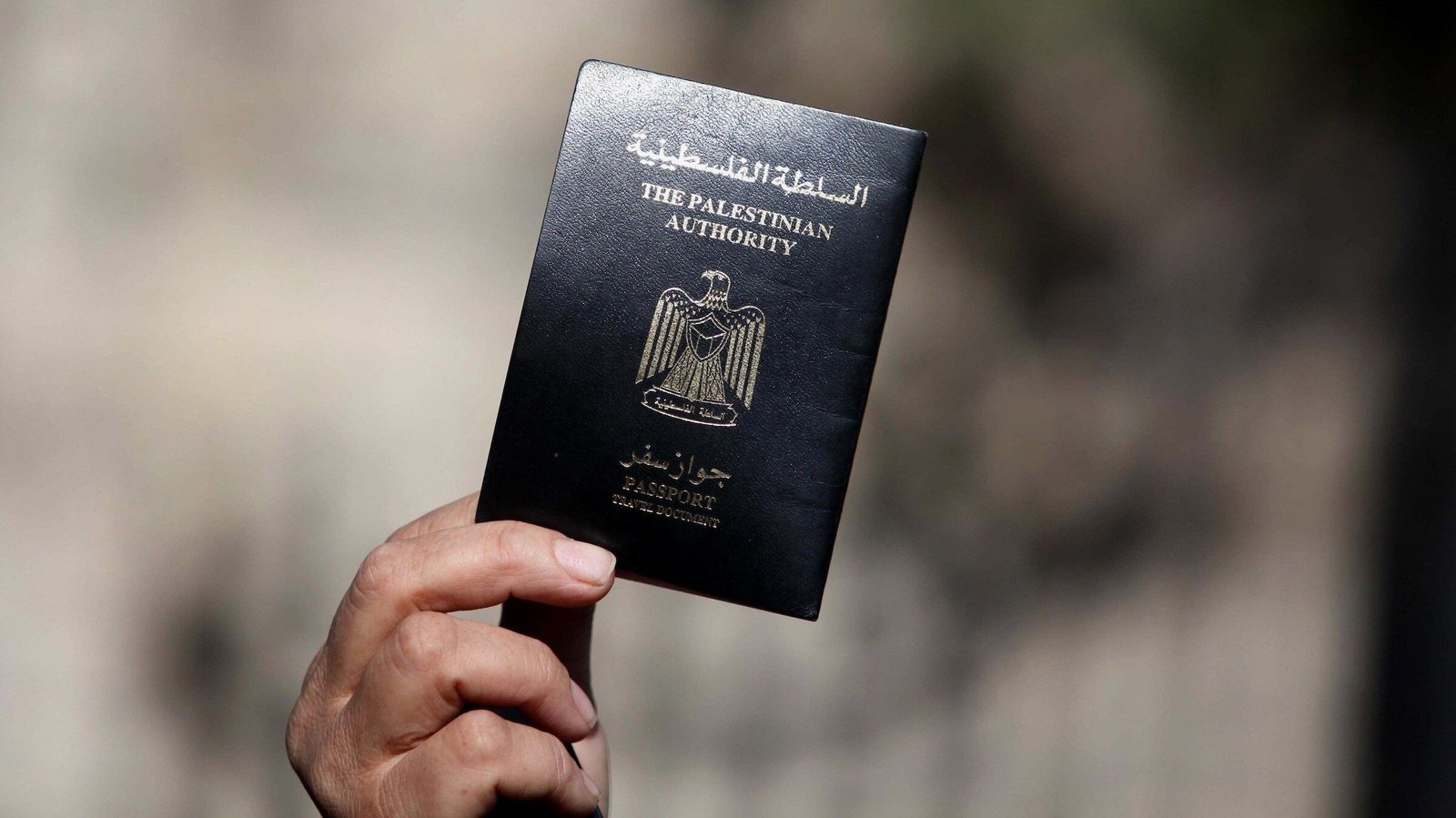 الخدمات القنصلية