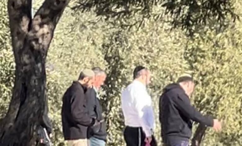 في انتهاك صارخ: مستعمرون يفتتحون مسار اقتحام جديدا داخل المسجد الأقصى