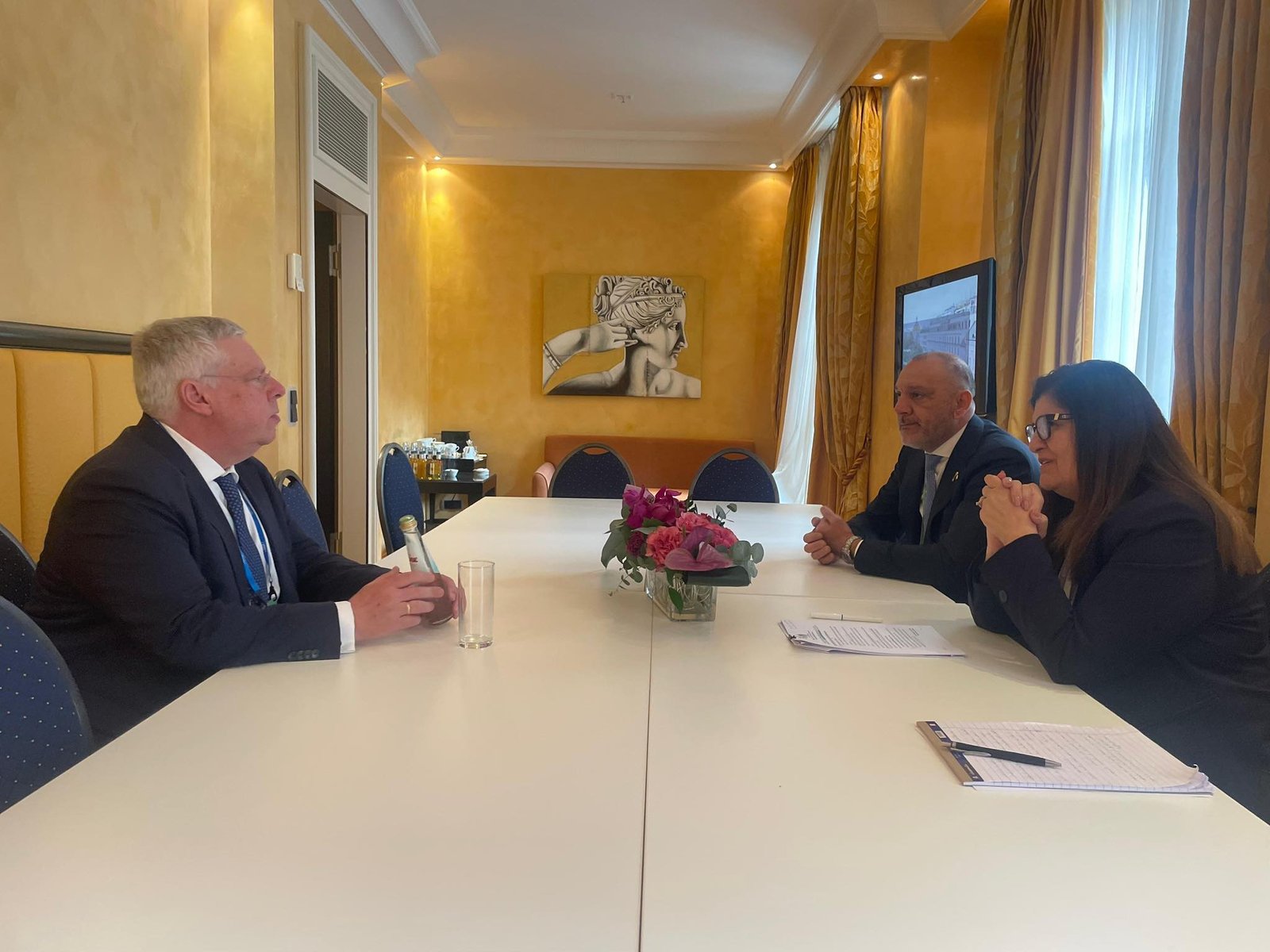 Minister of Foreign Affairs and Expatriates Varsen Shahin held talks with Jürgen Hardt,