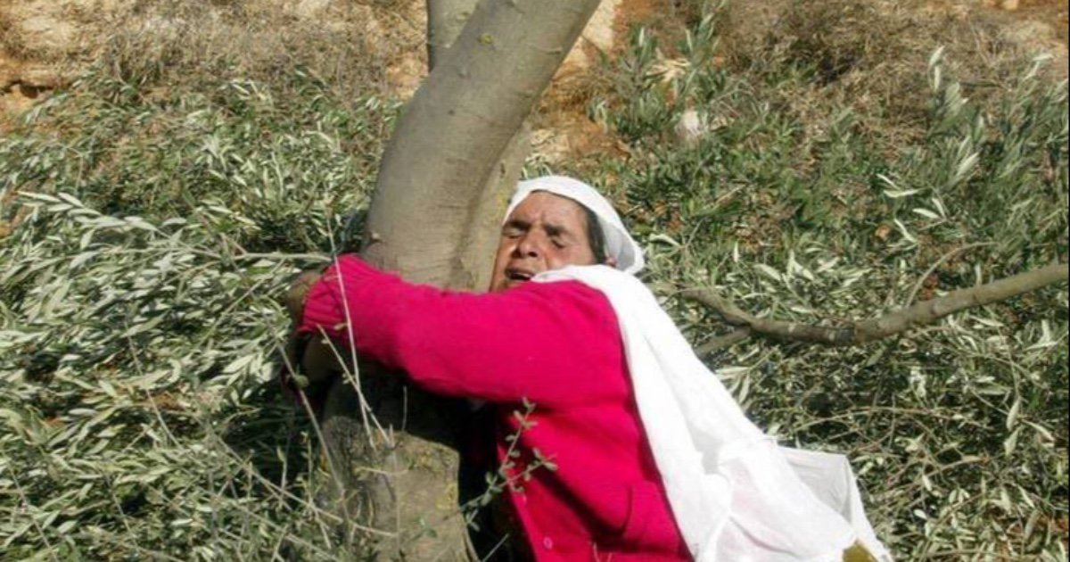 السفير الاسعد يحيي المرأة الفلسطينية بمناسبة يوم المرأة العالمي