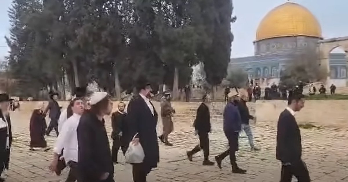 مستعمرون يقتحمون "الأقصى" وسط تمديد غير مسبوق لساعات الاقتحام