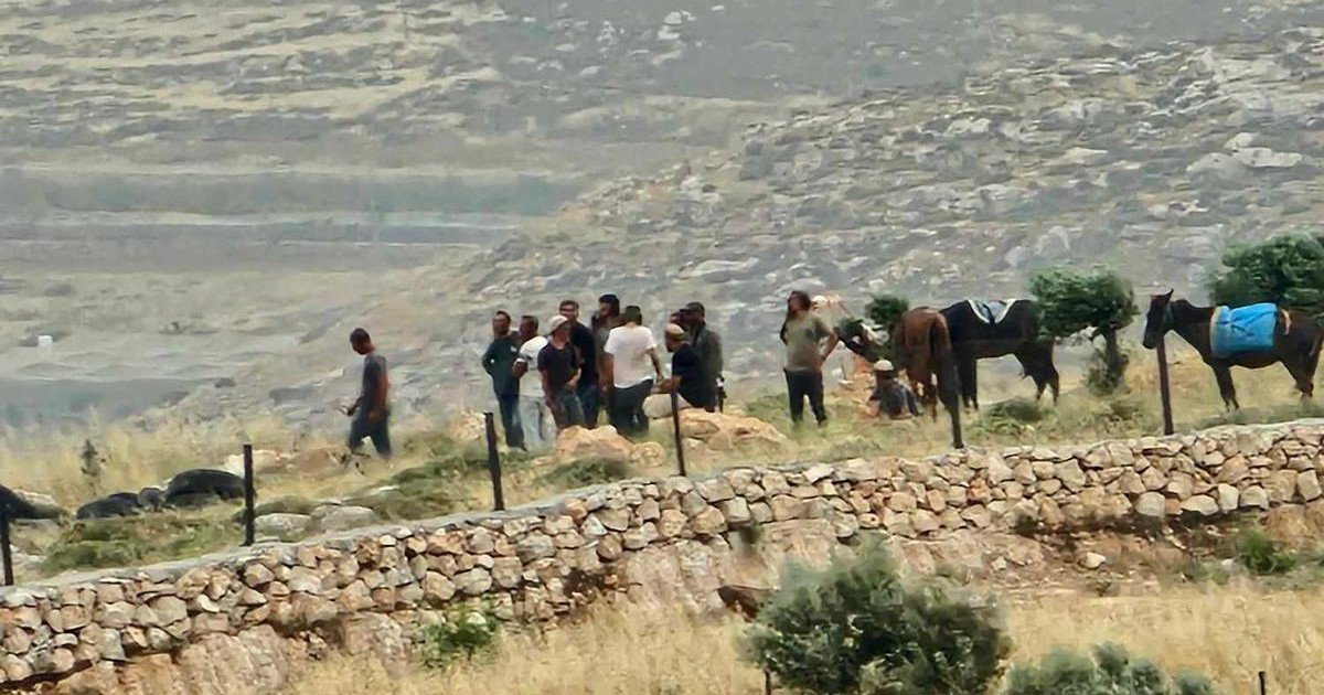 إصابة 4 مواطنين واقتلاع 60 شجرة في هجوم للمستعمرين جنوب الخليل