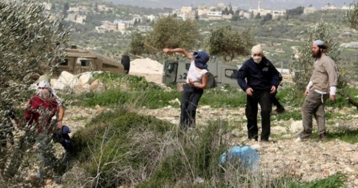 مستعمرون يهاجمون طاقم المجلس القروي في عصيرة القبلية جنوب نابلس