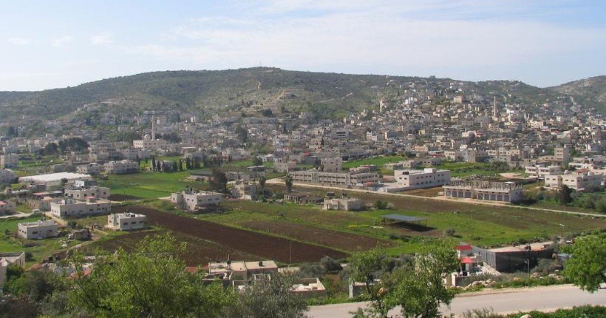 الاحتلال يصدر أوامر بوضع اليد على أكثر من 22 دونماً من أراضي عرابة وقباطية جنوب جنين