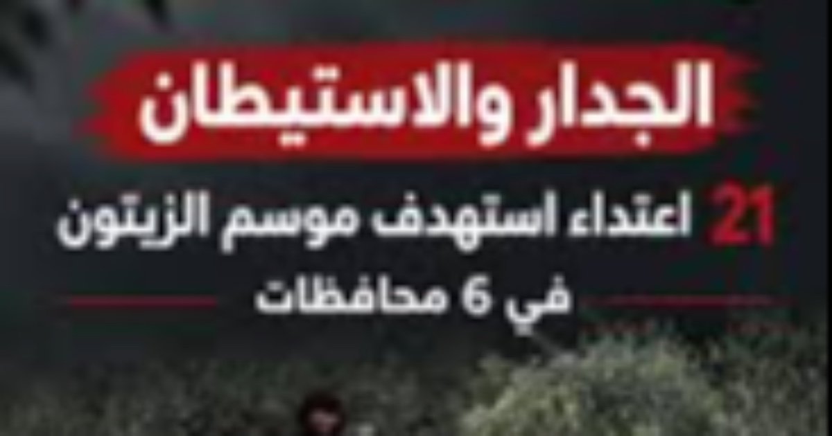 "الجدار والاستيطان": 21 اعتداء استهدف موسم الزيتون في 6 محافظات