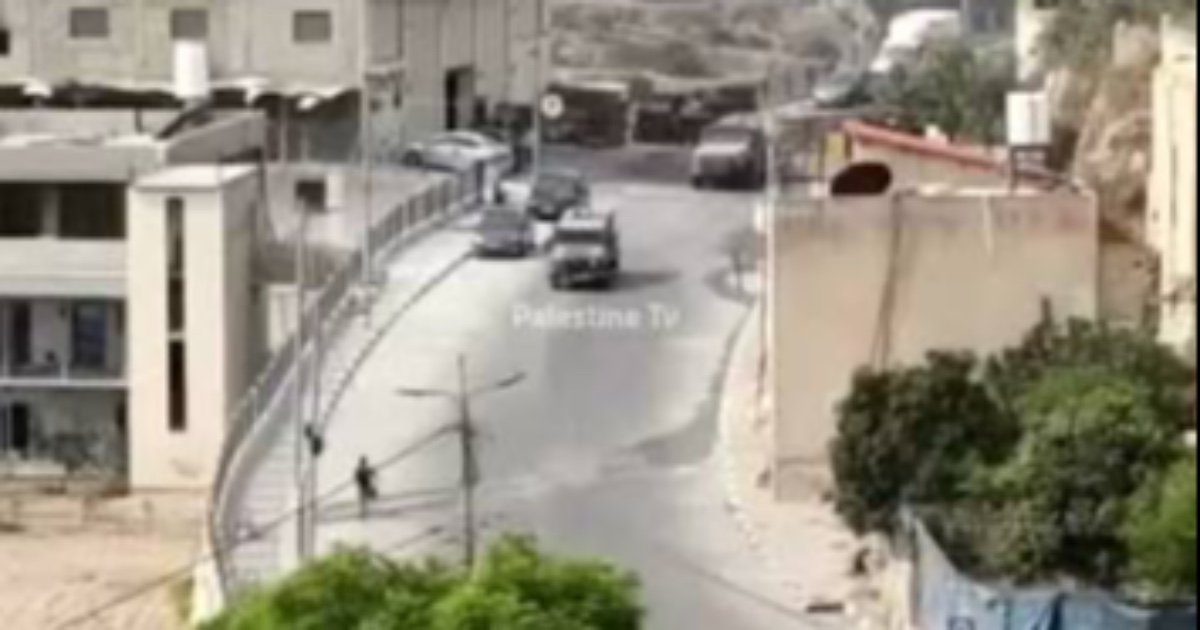 مستعمرون يهاجمون مزارعين شمال سلفيت