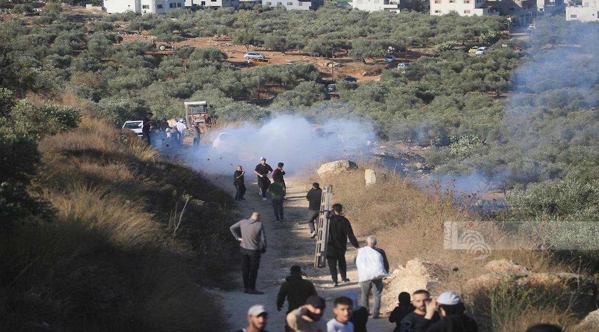 الأمم المتحدة: هجوم المستعمرين على موسم قطف الزيتون الفلسطيني أداة للتهجير والسلب