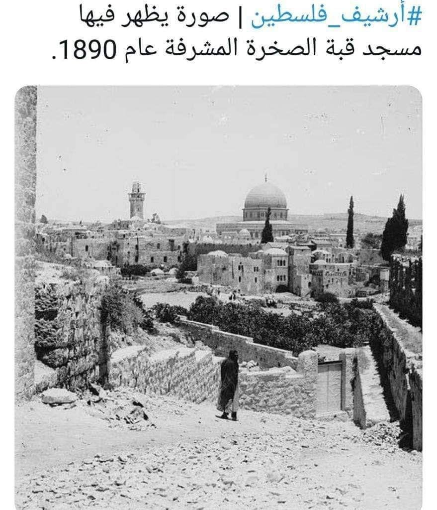 Palestine Image 5