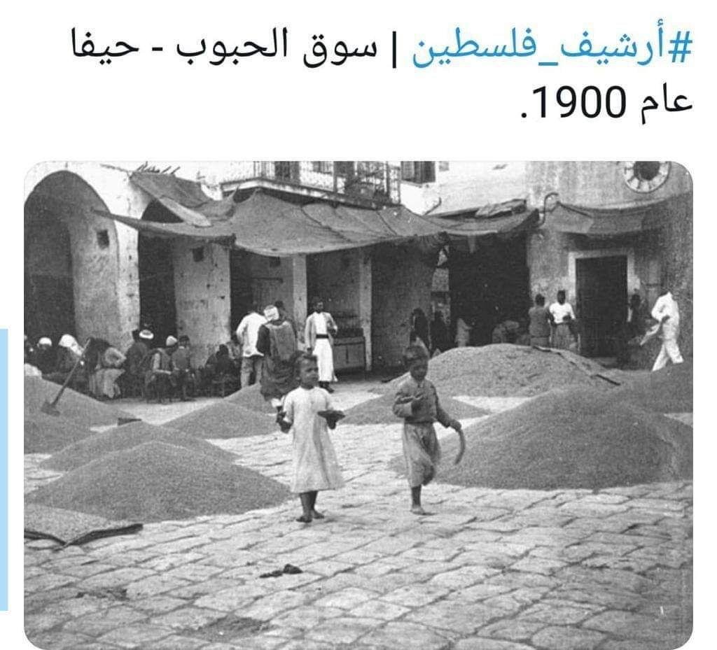 Palestine Image 9